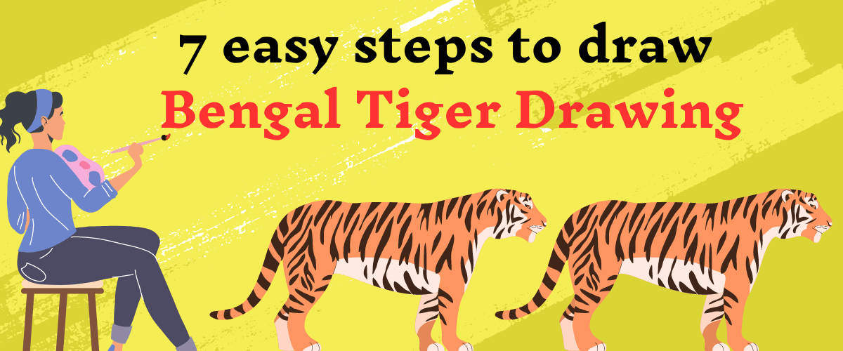 7 easy steps to draw Bengal Tiger Drawing