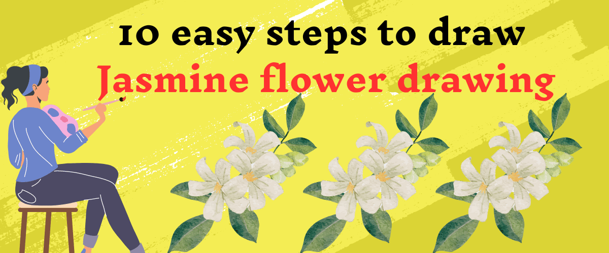 Jasmine flower drawing