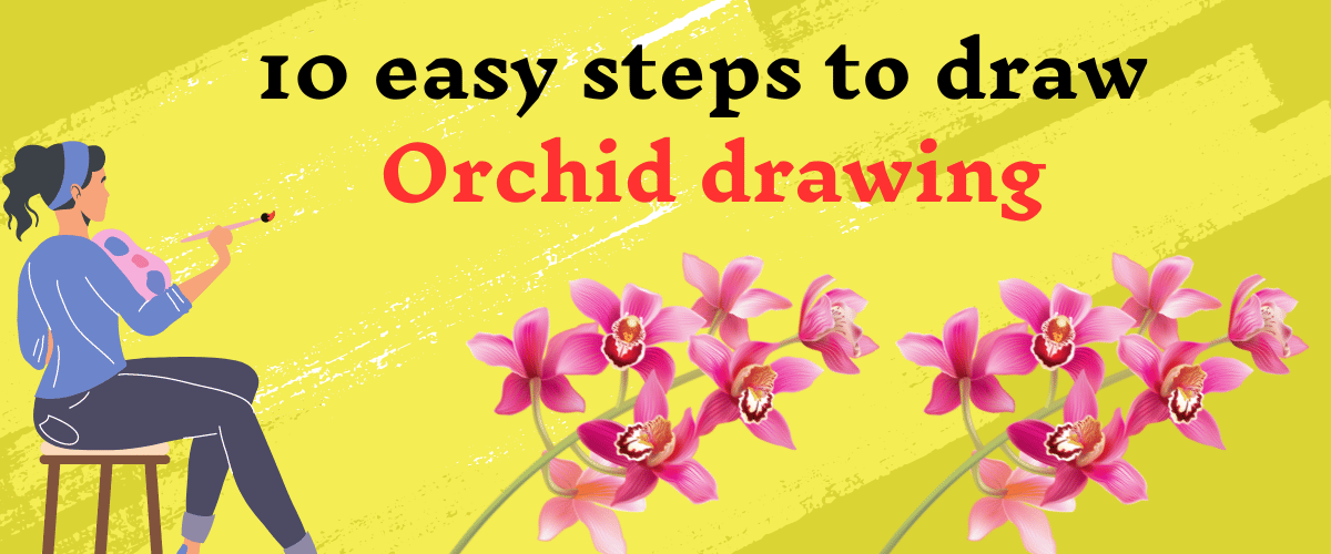 10 easy steps to draw Orchid drawing - Easy Drawing