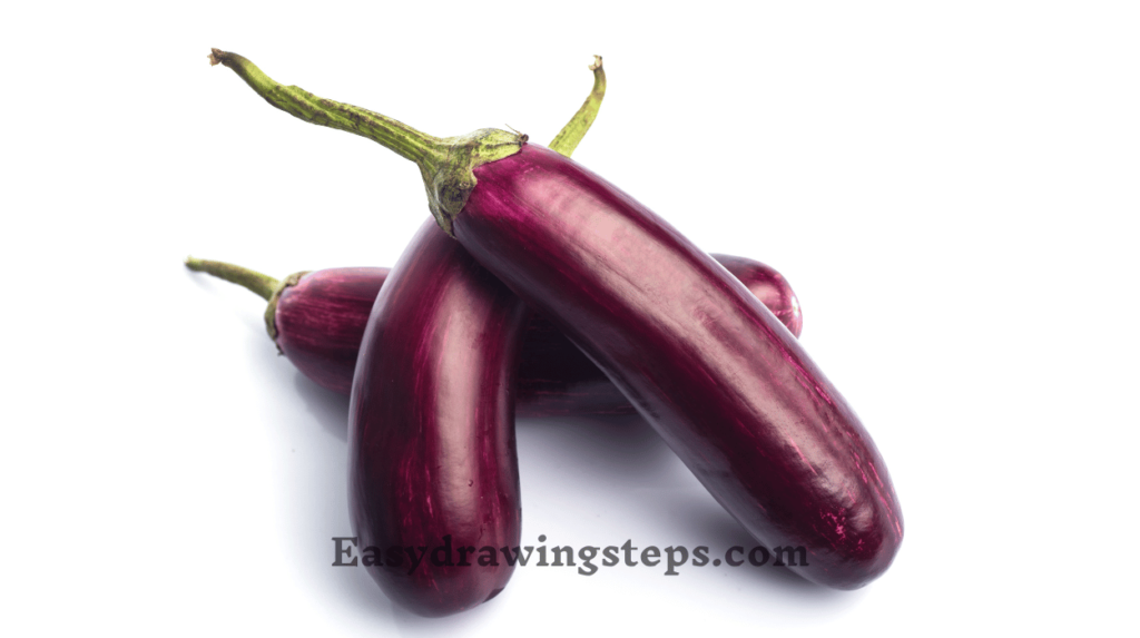Brinjal Drawing
