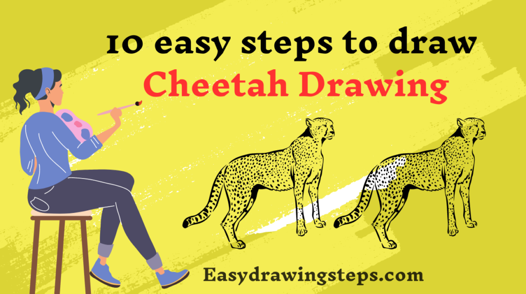 10 easy steps to draw Cheetah Drawing - Easy Drawing