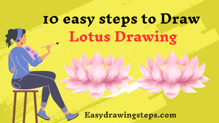 10 easy steps to draw Lotus Drawing - Easy Drawing