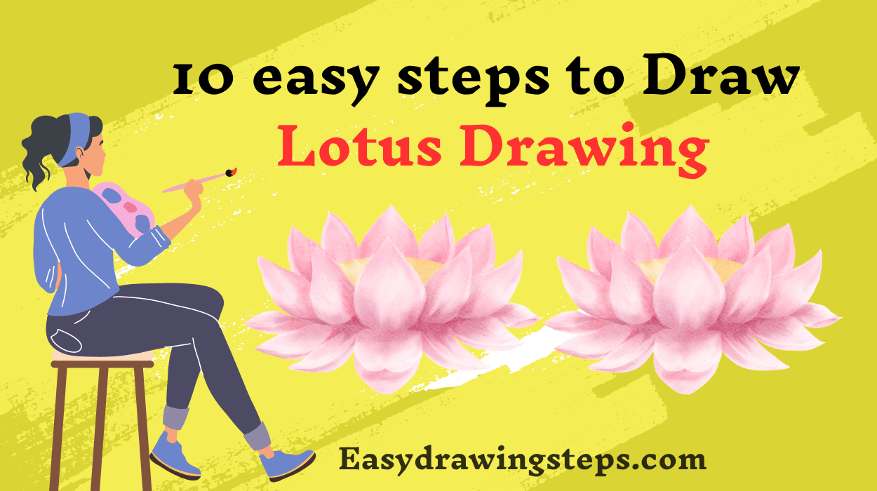 Lotus Drawing