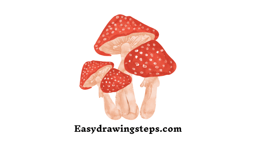Mushroom Drawing