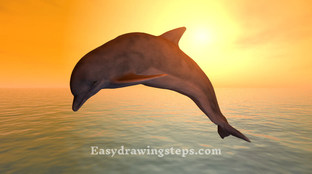 10 Easy Steps To Draw Pink Dolphin Drawing - Easy Drawing