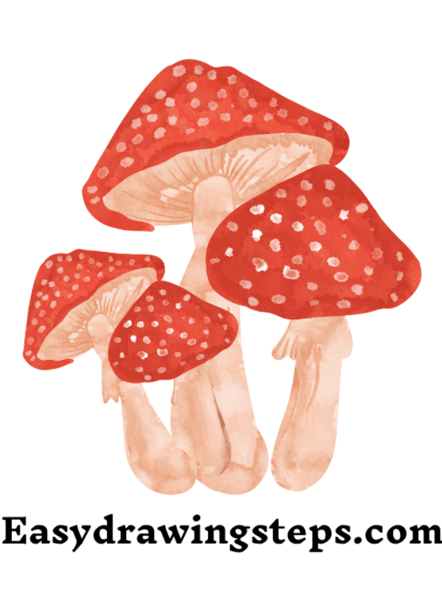 7 easy steps to draw Mushroom Drawing