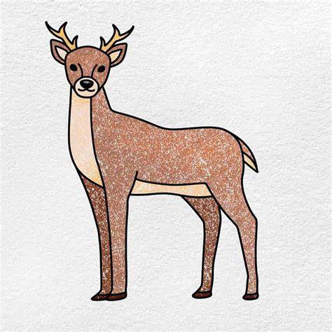 10 easy steps to draw Deer Drawing - Easy Drawing