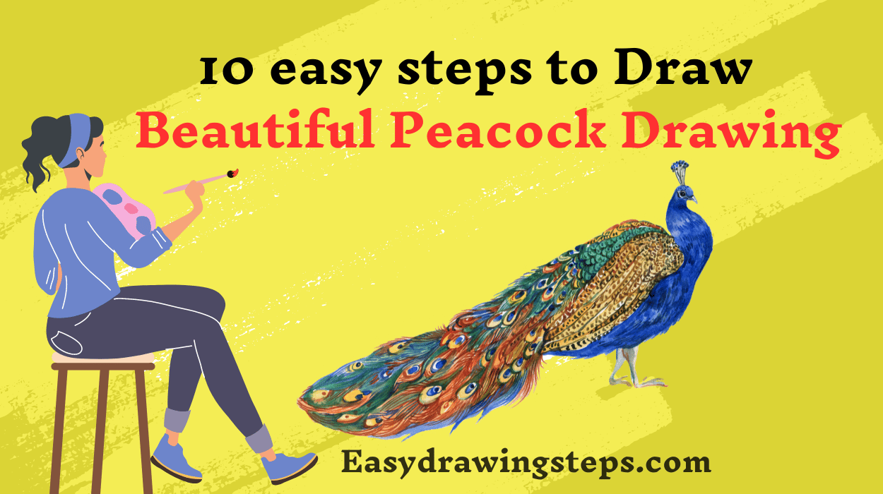 10 easy steps to draw Beautiful Peacock Drawing - Easy Drawing