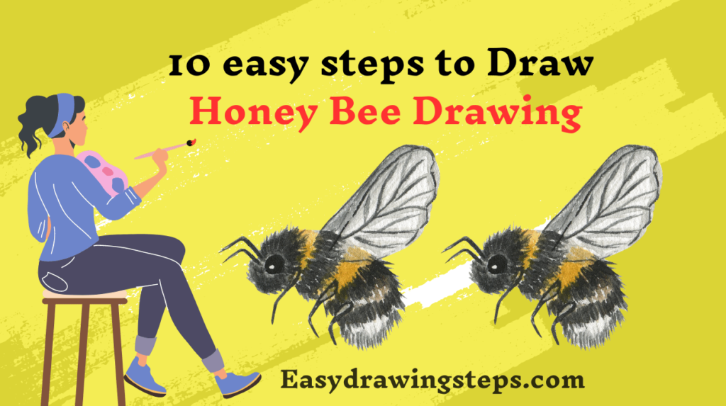 10 easy steps to draw Honey Bee Drawing - Easy Drawing