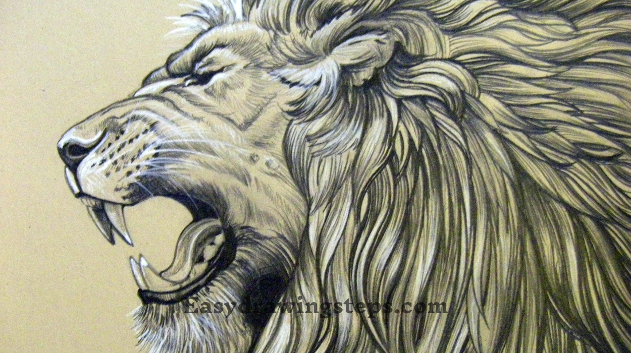 10 easy steps to draw Lion Face Drawing Easy Drawing