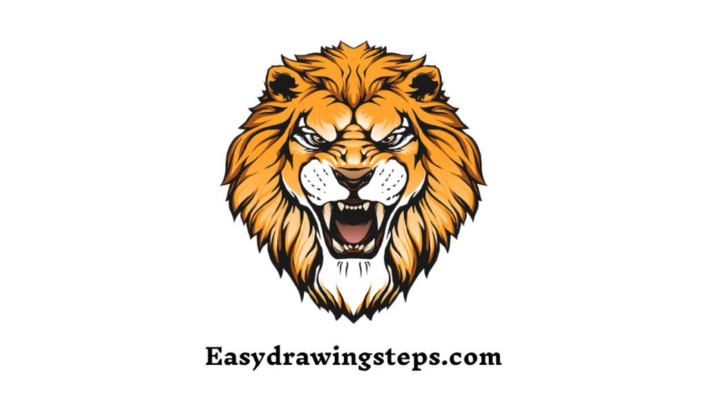 Lion Face Drawing