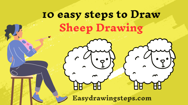 10 easy steps to draw Sheep Drawing - Easy Drawing