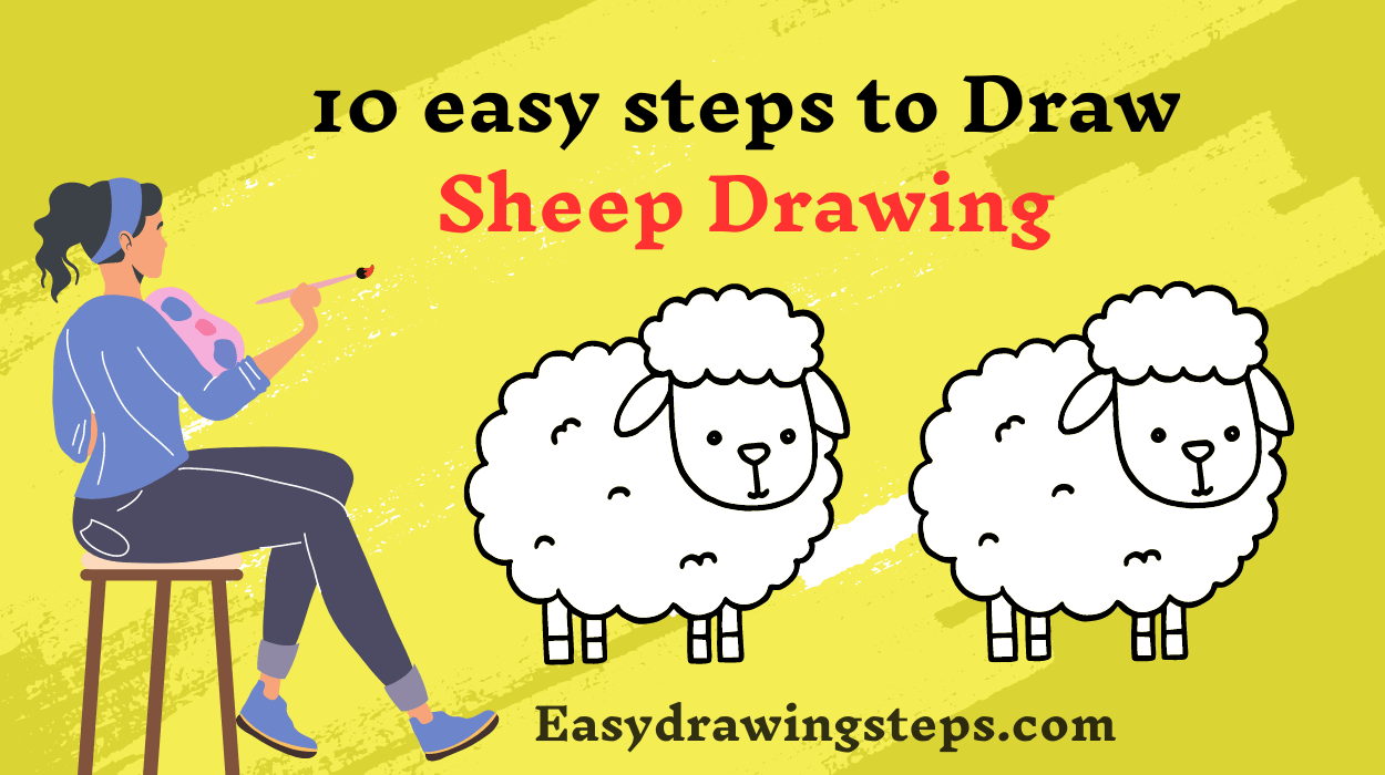 Sheep Drawing