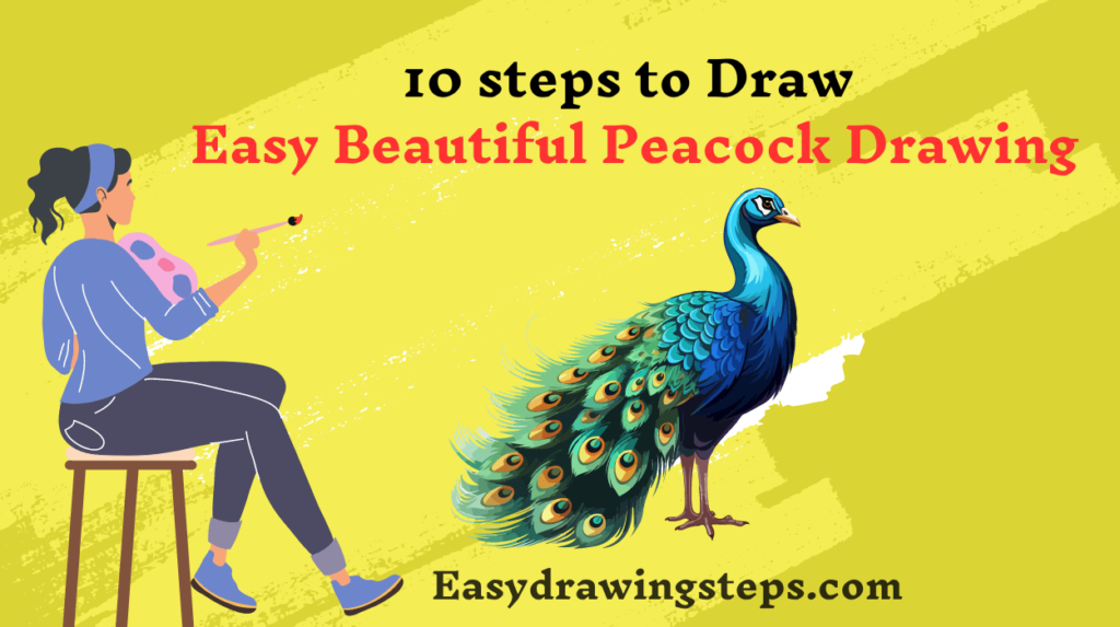 10 Steps to Draw Easy Beautiful Peacock Drawing - Easy Drawing