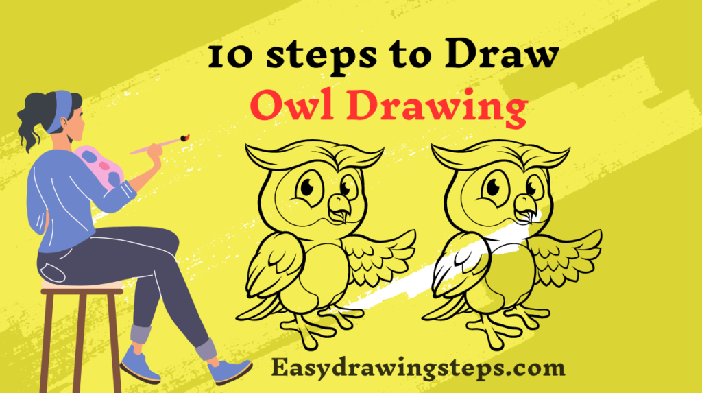 10 Steps to Draw Owl Drawing - Easy Drawing