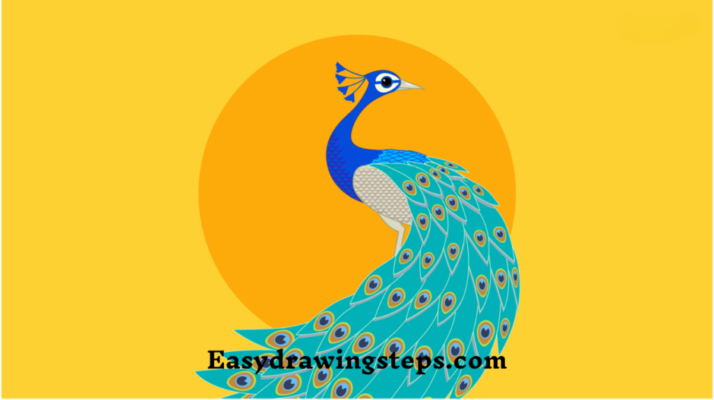 Peacock Drawing Easy And Beautiful