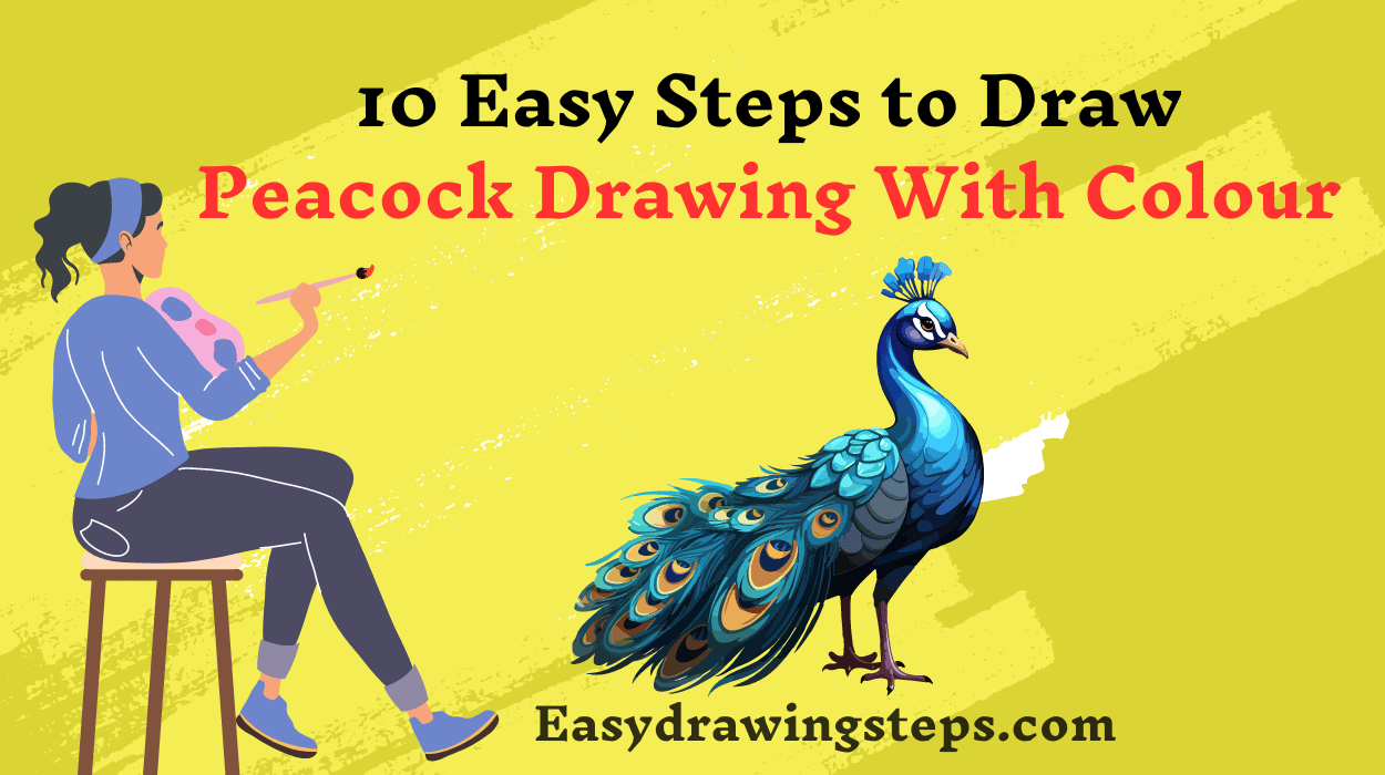 Peacock Drawing With Colour