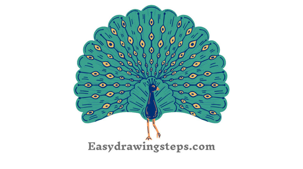 Dancing Peacock Drawing