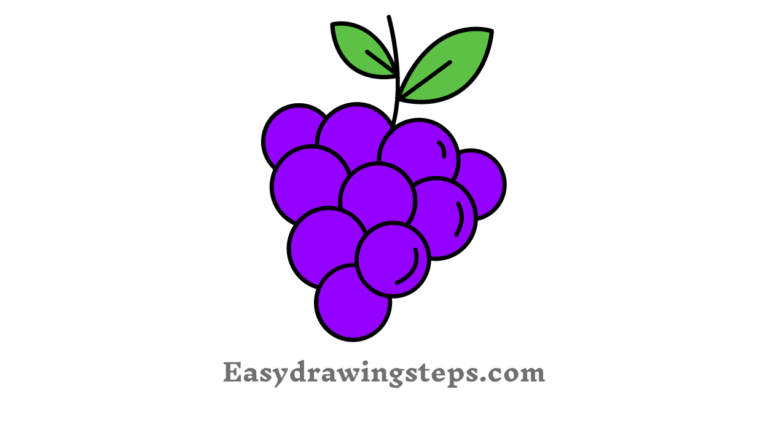 10 Easy Steps to Draw Grapes Drawing - Easy Drawing