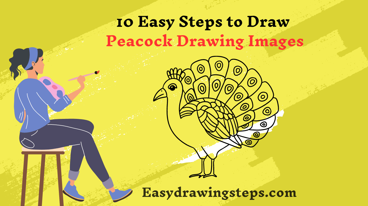 10 Easy Steps to Draw Peacock Drawing Images - Easy Drawing