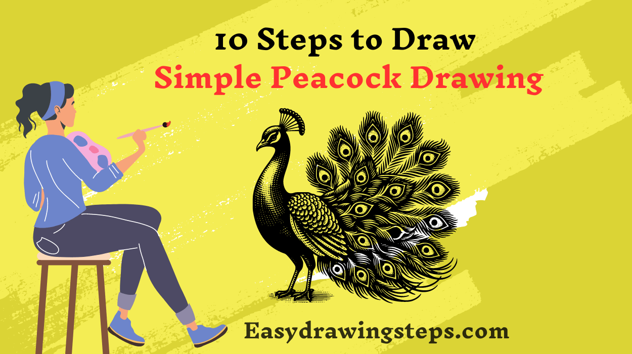 Simple Peacock Drawing